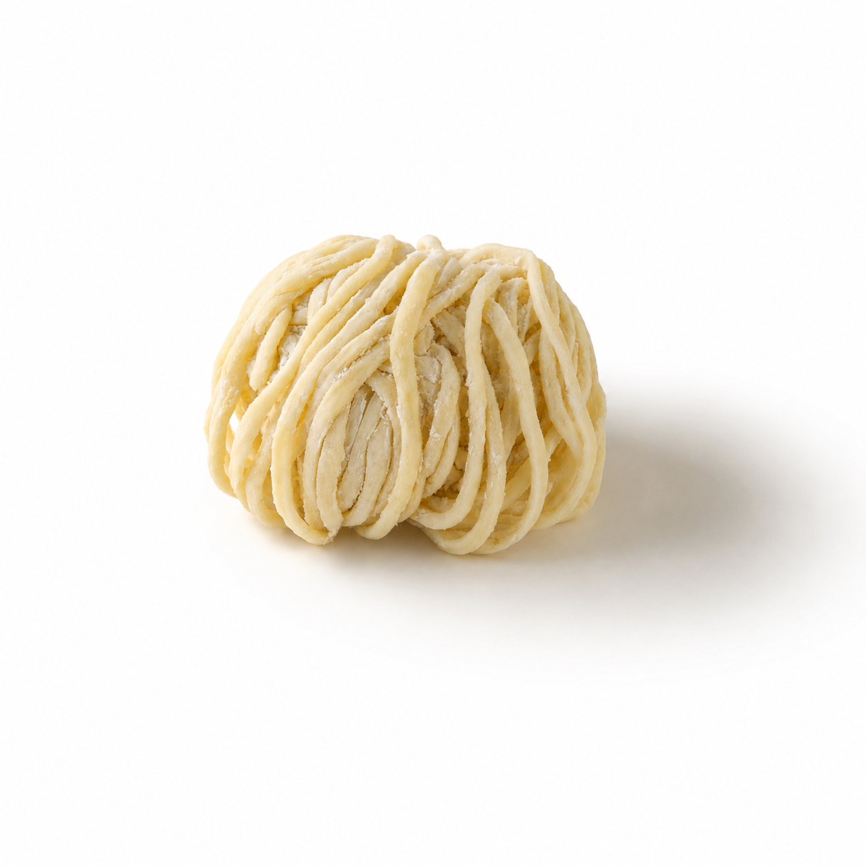 #喜多方麺#14