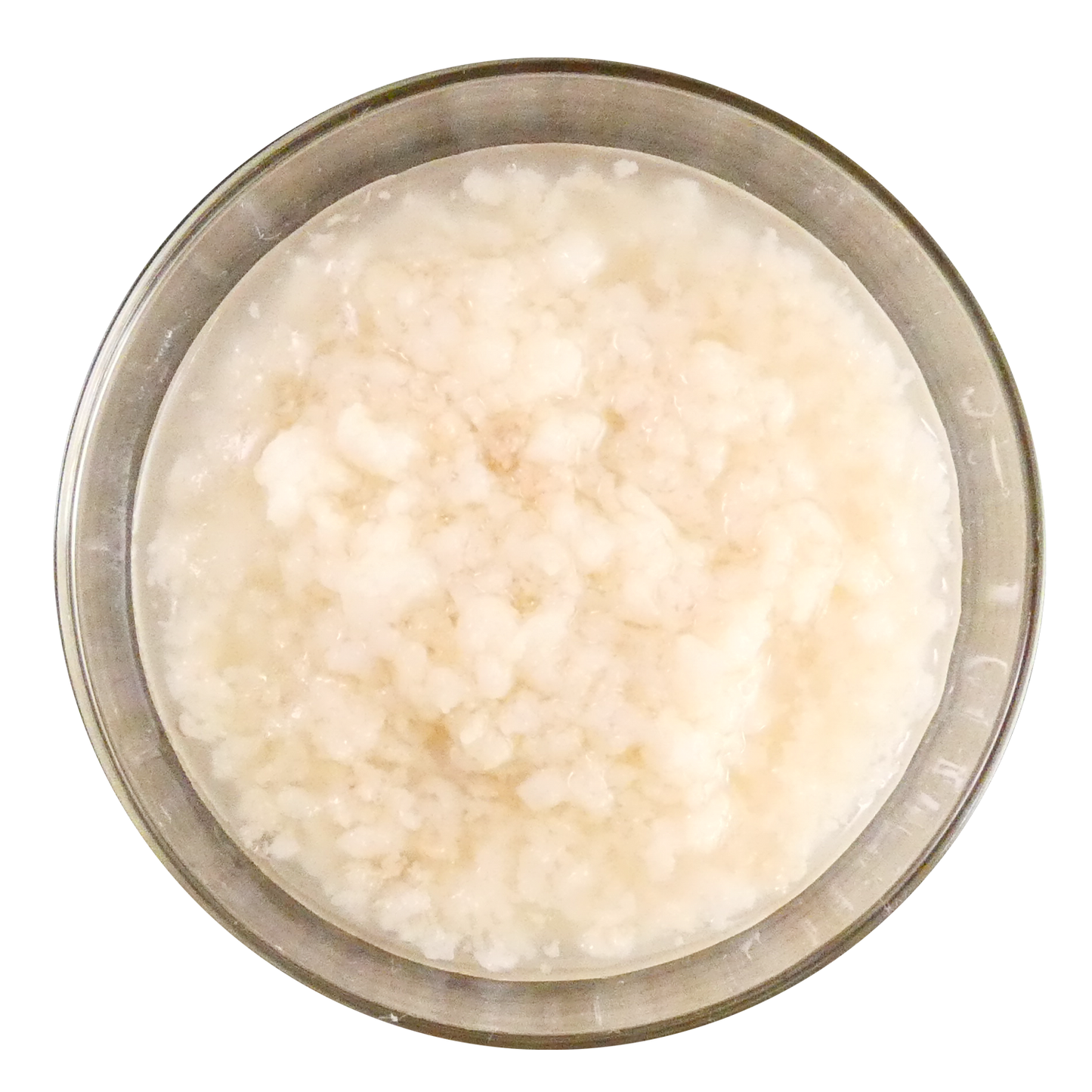 【無料】大粒背脂