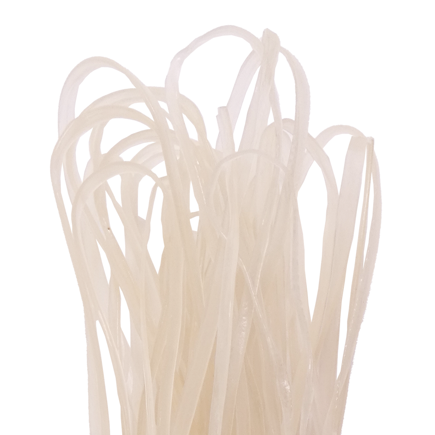 【無料】サツマイモ春雨（4㎜）